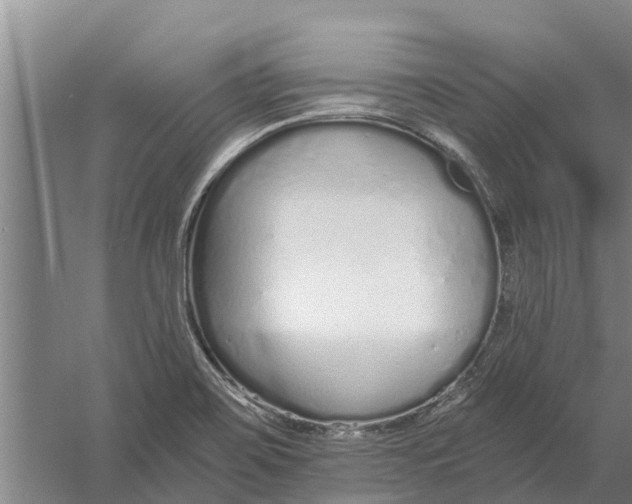 X0000056361467200509232119