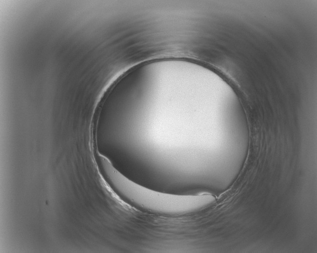 X0000056361468200509232119