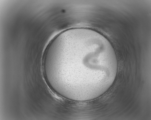 X0000056361470200509232119