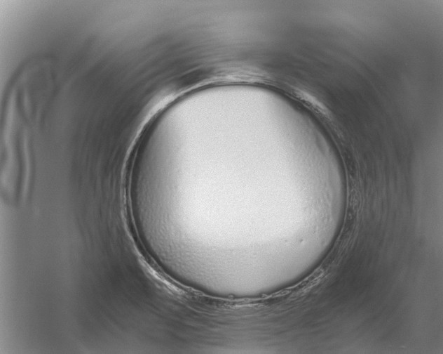 X0000056361471200509232119