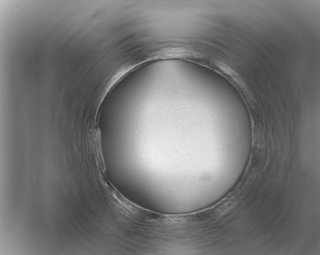 X0000056361473200509232119