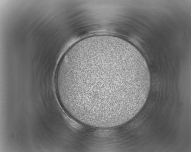 X0000056361474200509232119