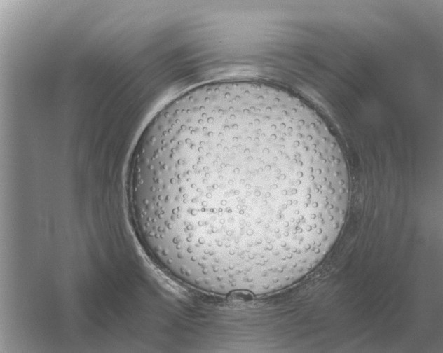 X0000056361475200509232118