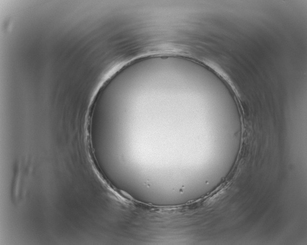 X0000056361477200509232118