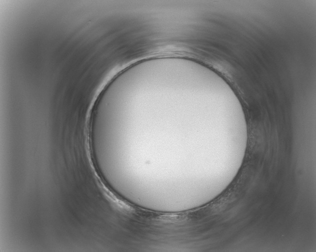 X0000056361478200509232118