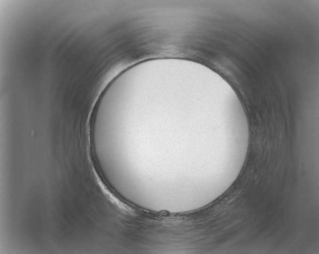 X0000056361479200509232118