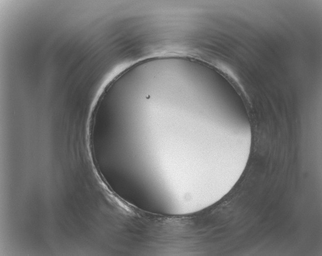 X0000056361480200509232118