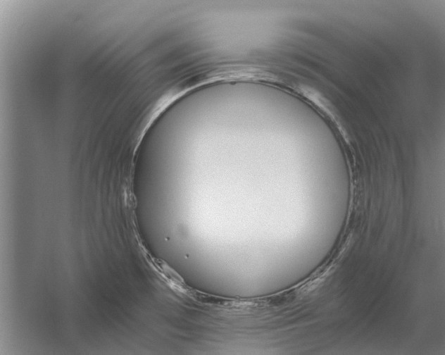 X0000056361481200509232118