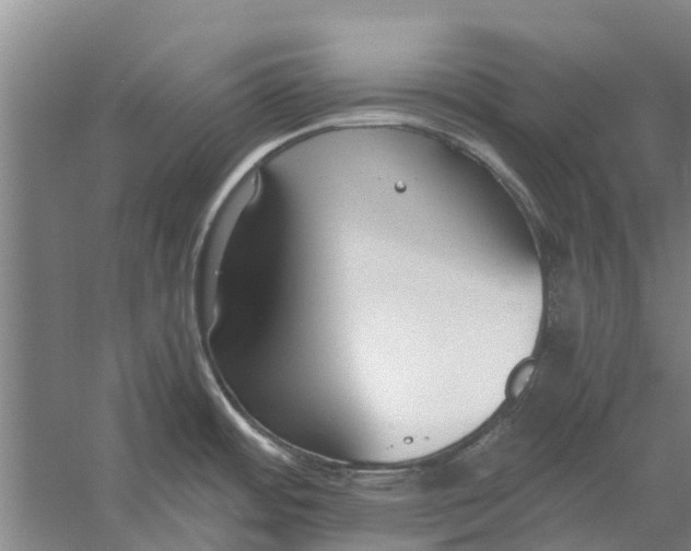 X0000056361484200509232118