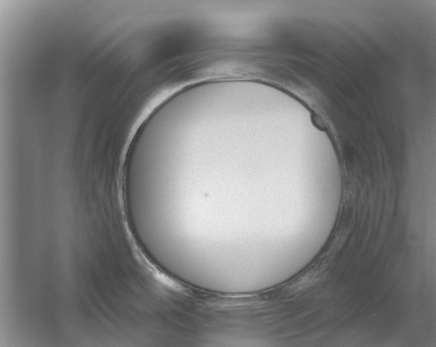 X0000056361486200509232118