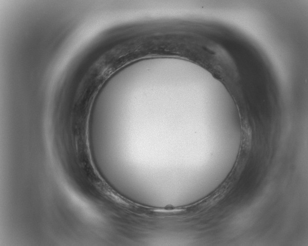 X0000056361487200509232118