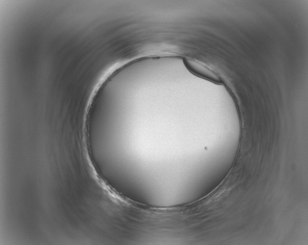 X0000056361488200509232118