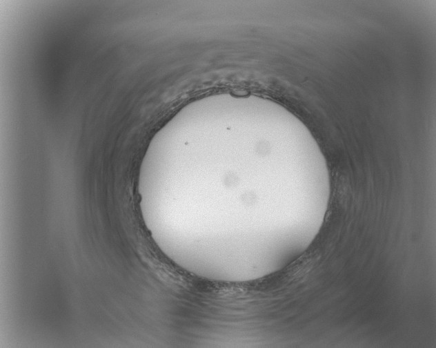 X0000056361489200509232117