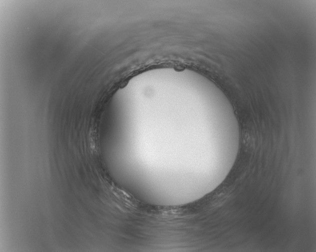 X0000056361490200509232117