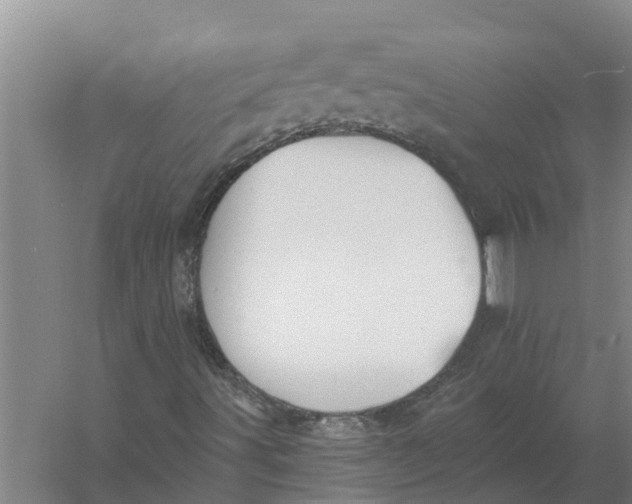 X0000056361491200509232117