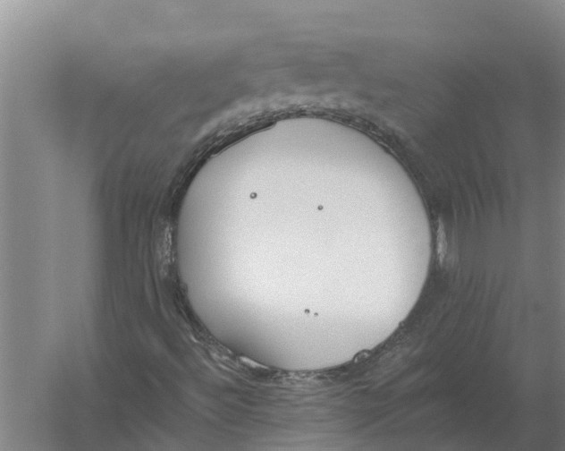 X0000056361492200509232117