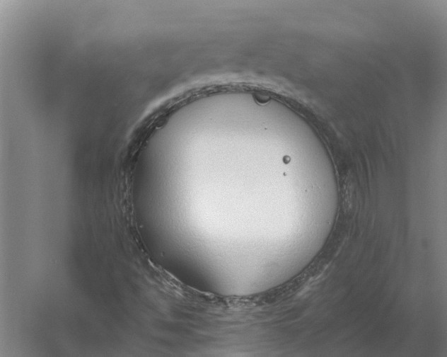 X0000056361494200509232118