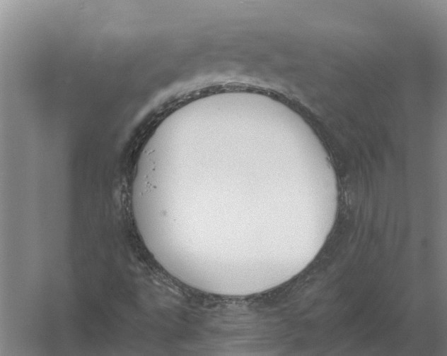 X0000056361495200509232118