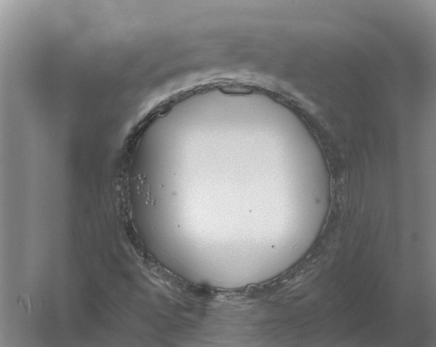 X0000056361496200509232118