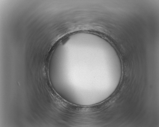 X0000056361497200509232118