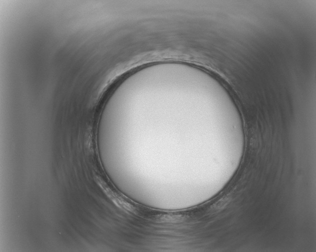 X0000056361499200509232118