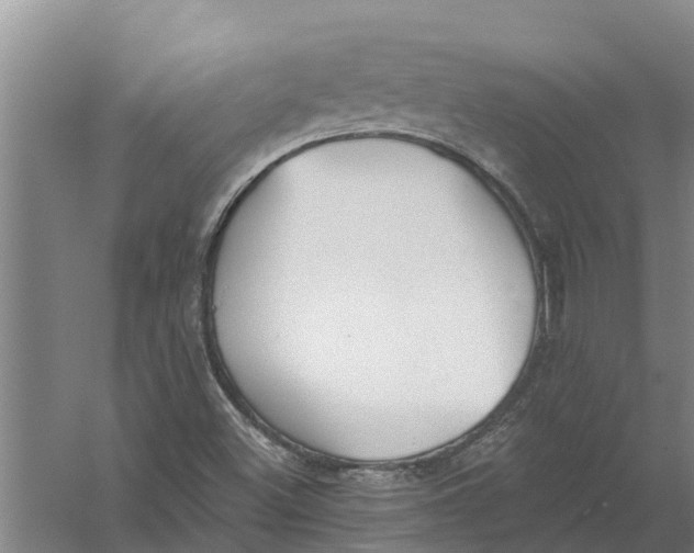 X0000056361500200509232118