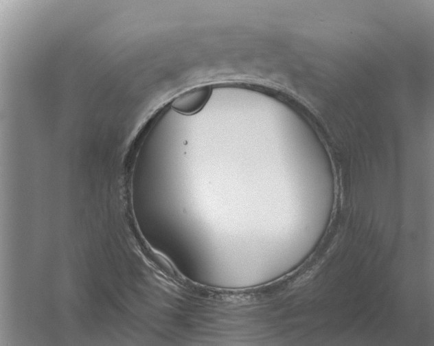 X0000056361501200509232118