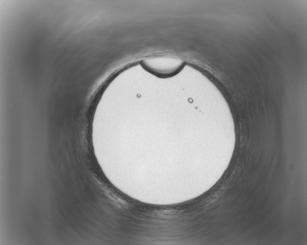 X0000056361502200509232118