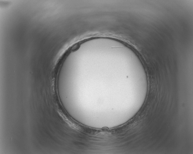 X0000056361503200509232118