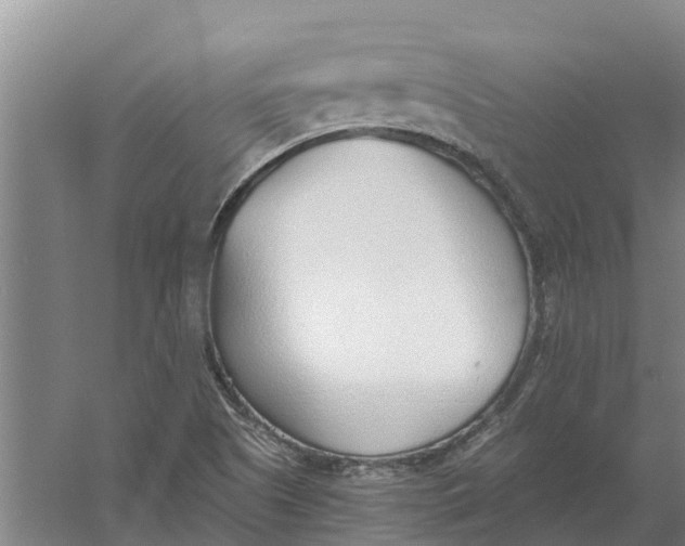 X0000056361505200509232118