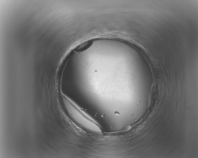 X0000056361506200509232118