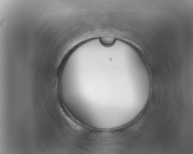 X0000056361507200509232118