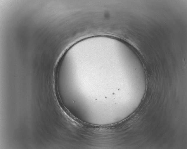 X0000056361508200509232118