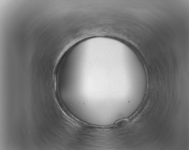 X0000056361509200509232118