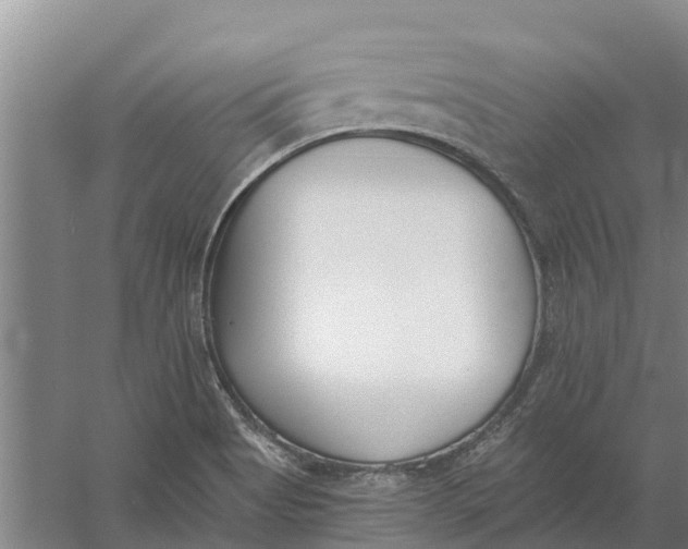 X0000056361513200509232118