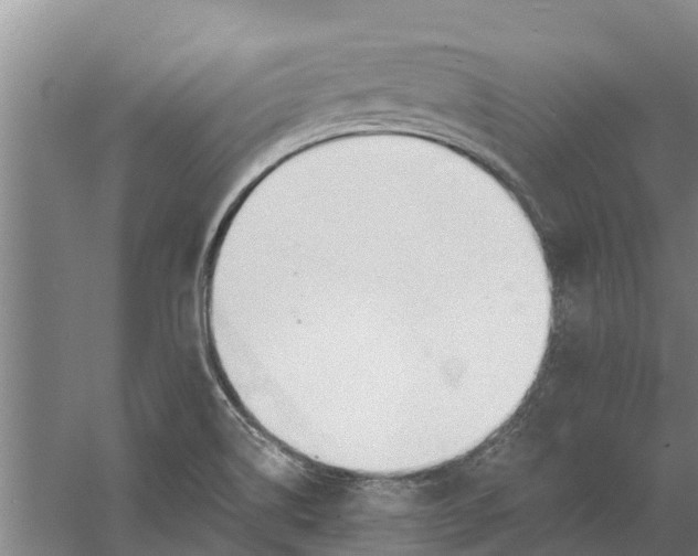 X0000056361514200509232118