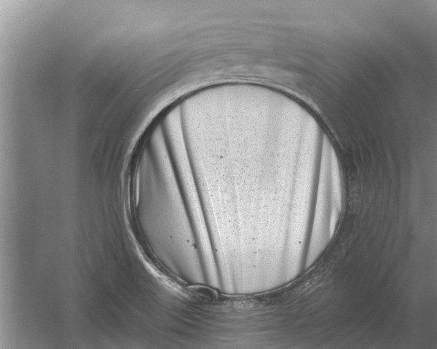 X0000056361515200509232118