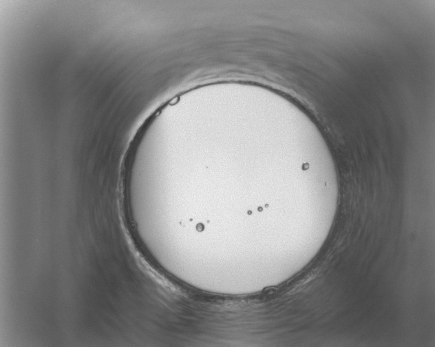 X0000056361518200509232118