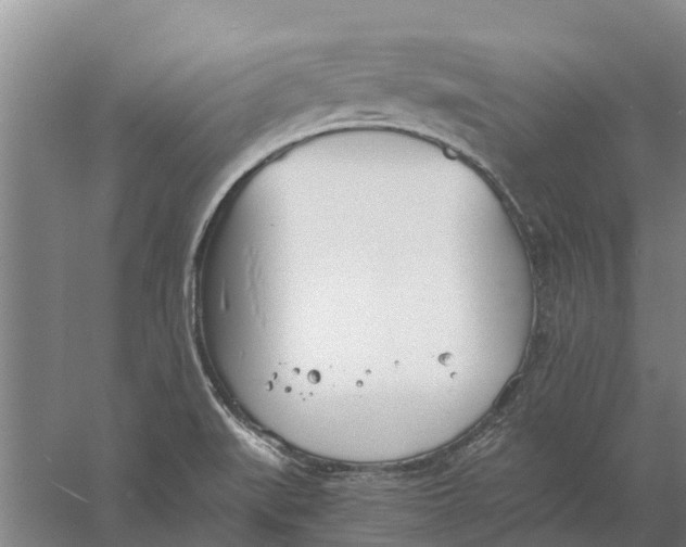 X0000056361519200509232118