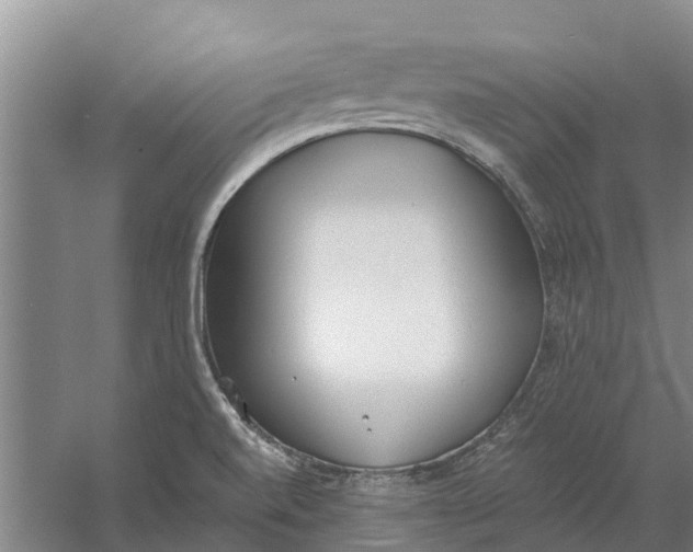 X0000056361520200509232118