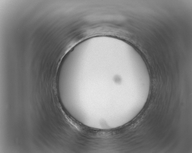 X0000056361521200509232118