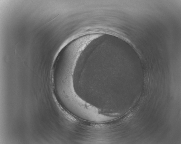 X0000056361522200509232118