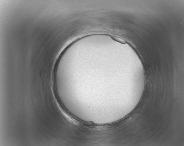 X0000056361523200509232118