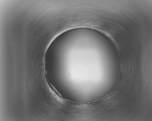 X0000056361524200509232118