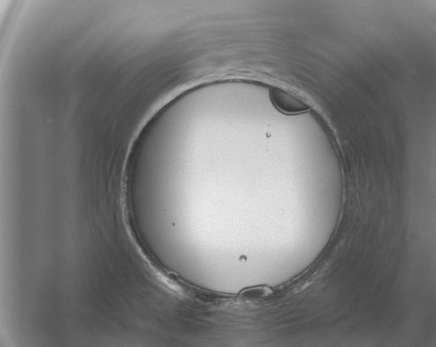 X0000056361525200509232118