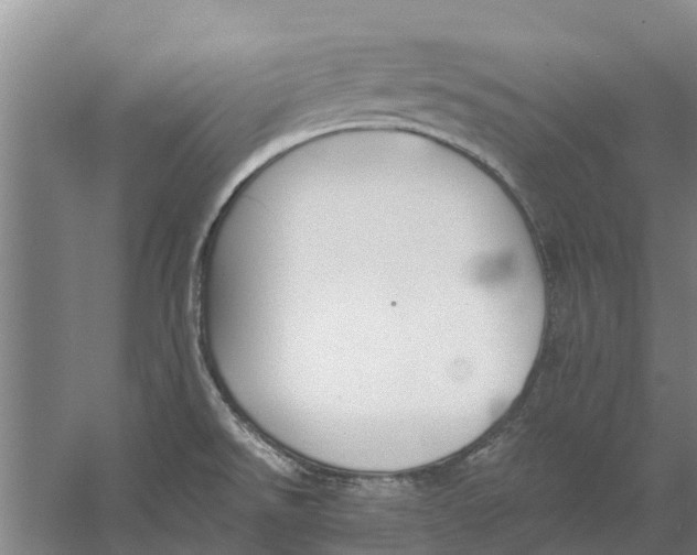 X0000056361526200509232118