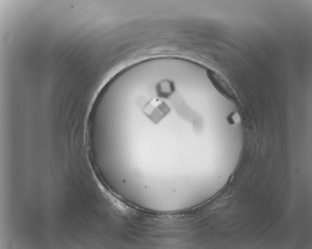 X0000056361527200509232118