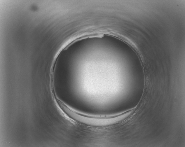 X0000056361528200509232118