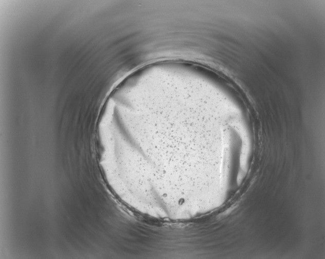 X0000056361529200509232118