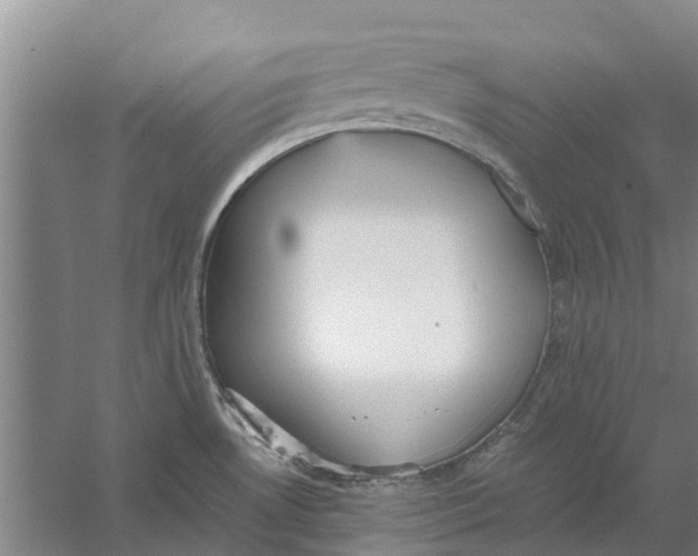 X0000056361530200509232118